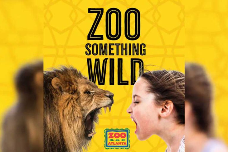 Graphic with text “ZOO Something Wild,” showing a lion on the left and a girl on the right.